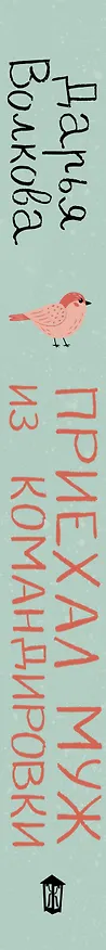Книга Приехал муж из командировки (Дарья Волкова) — 3