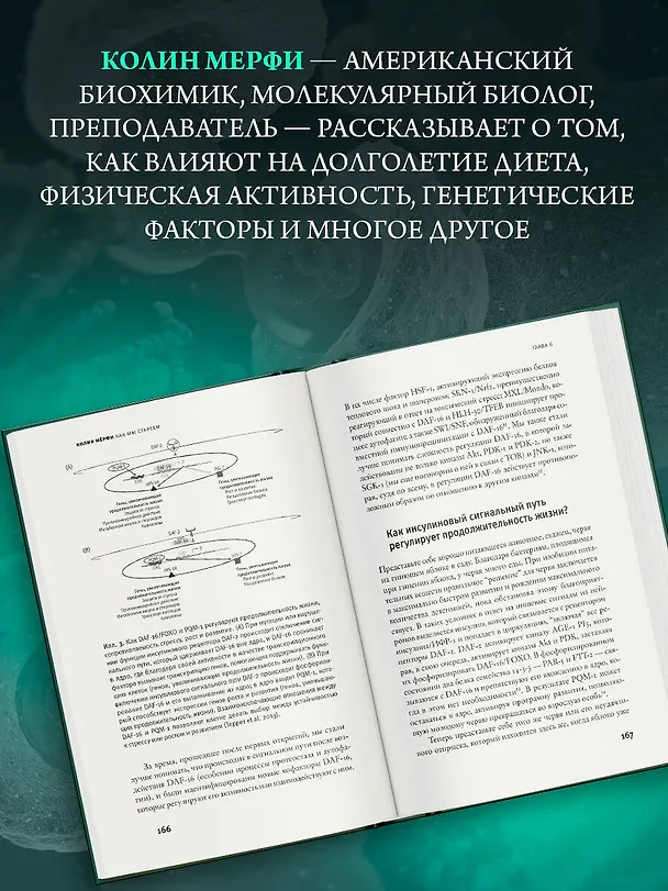 Книга Как мы стареем (Колин Мёрфи) — 6