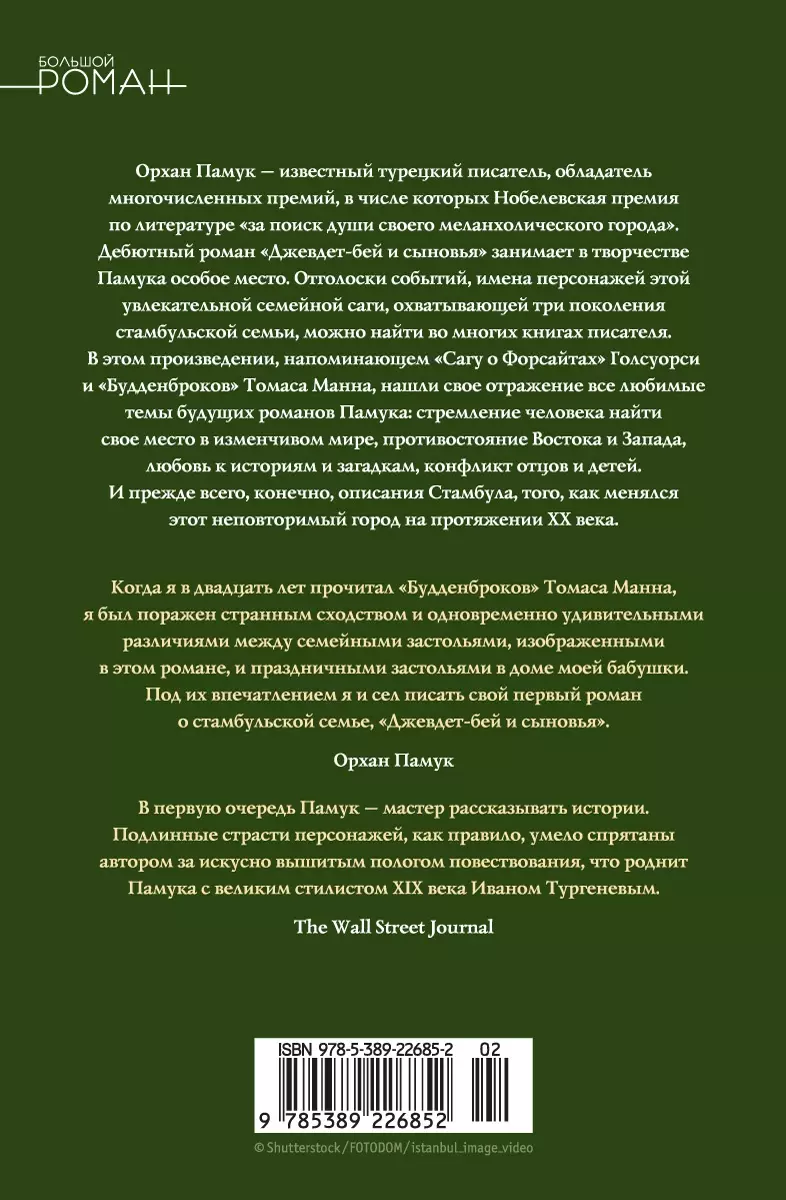 Джевдет-бей и сыновья: роман (Орхан Памук) - купить книгу с доставкой в  интернет-магазине «Читай-город». ISBN: 978-5-389-22685-2