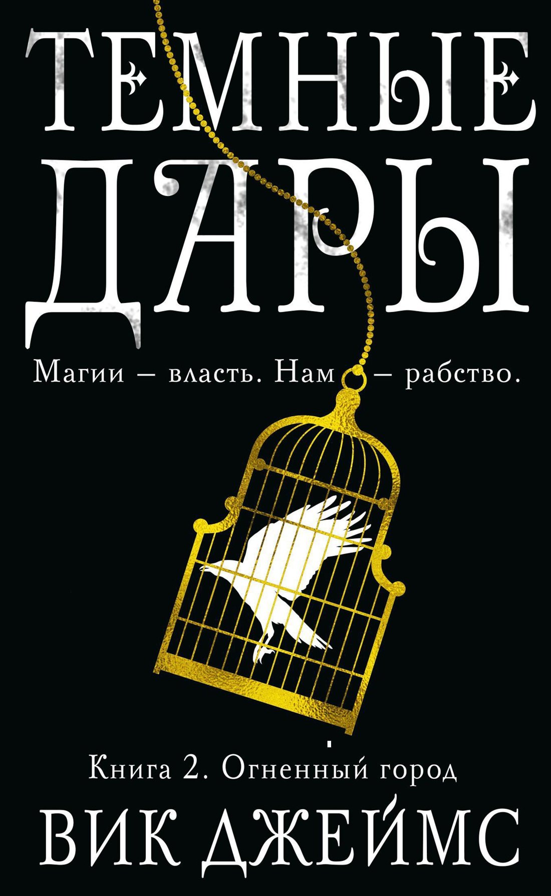 

Темные Дары. Книга 2. Огненный город