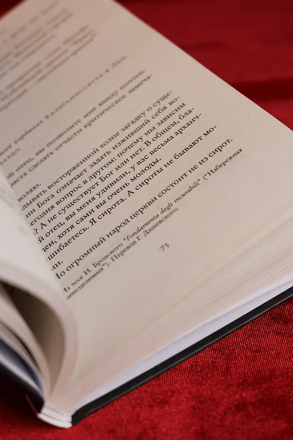 Книга Бремя Господне (Паоло Соррентино) — 11
