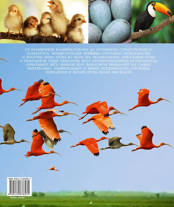 Книга Птицы. Самая полная энциклопедия () — 2