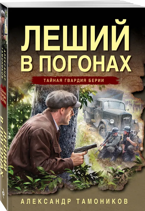 Книга Леший в погонах (Александр Тамоников) — 4