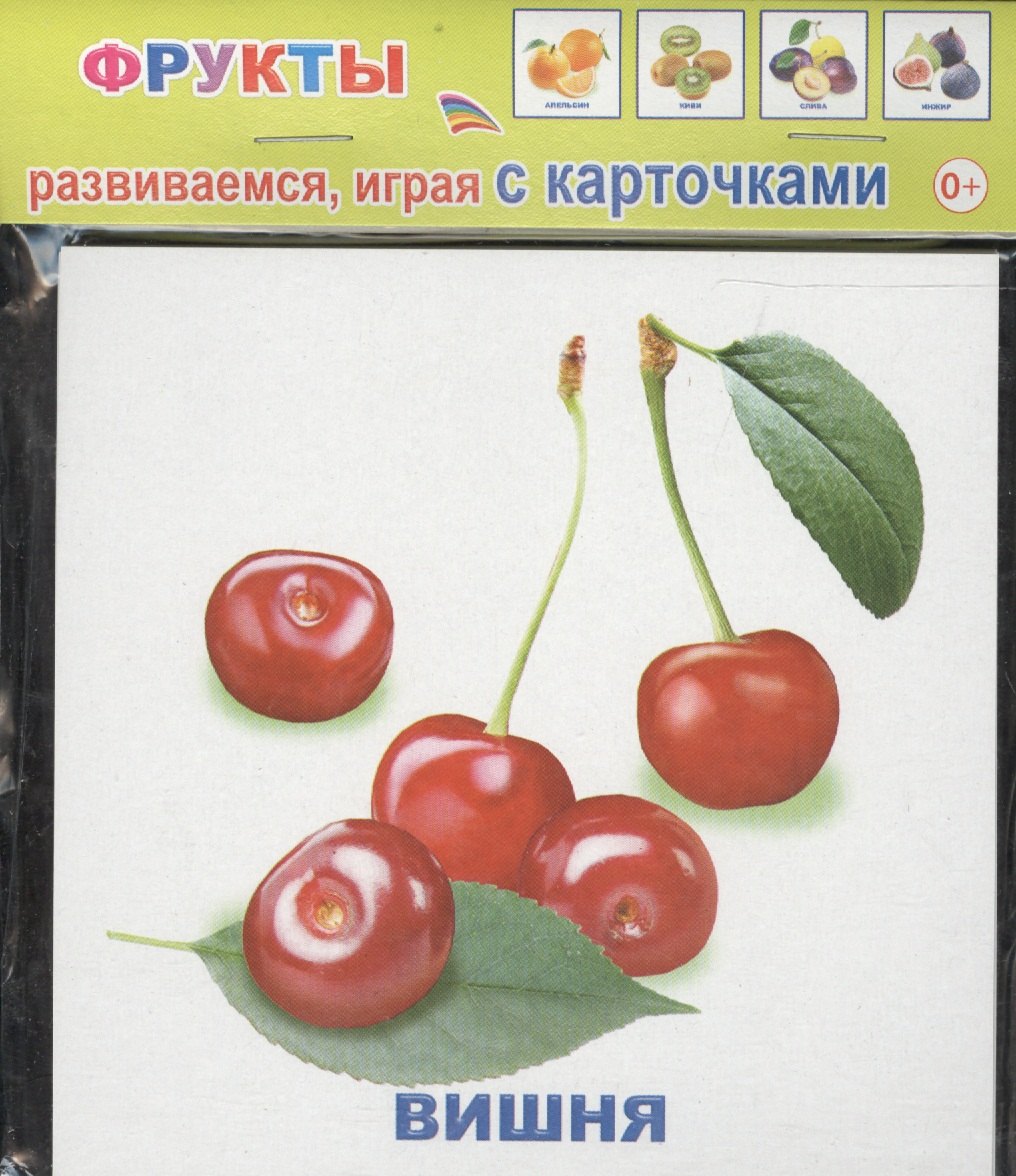 

Обучающие карточки Фрукты (упаковка) (978-5-91282-663-4)