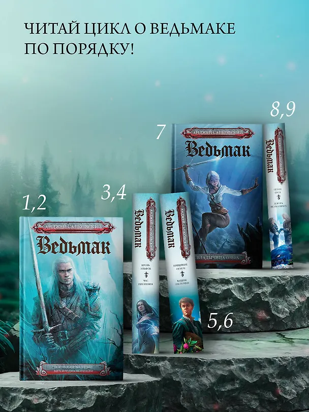 Книга Последнее желание. Меч предназначения (Анджей Сапковский) — 6