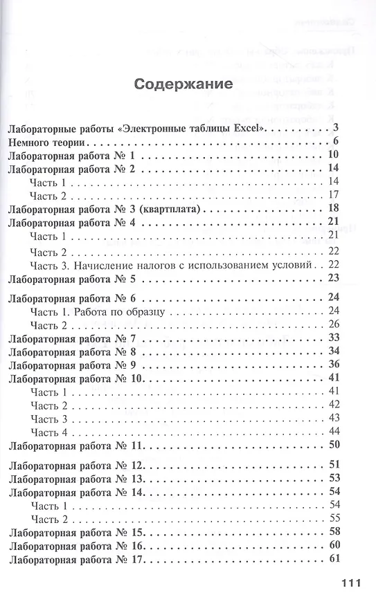 Книга Лабораторные работы по Excel (Людмила Анеликова) — 2