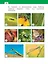 Окружающий мир. 1 класс. Учебное пособие. В двух частях. Часть 2 — 2983531 — 3