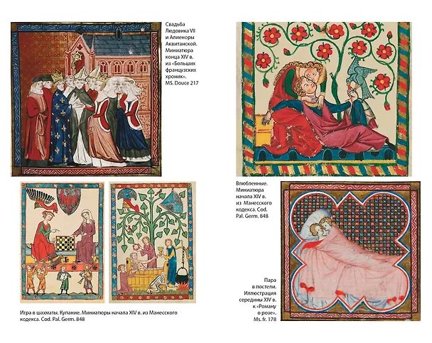 Книга Жизнь в средневековом замке (Джозеф Гис, Фрэнсис Гис) — 6