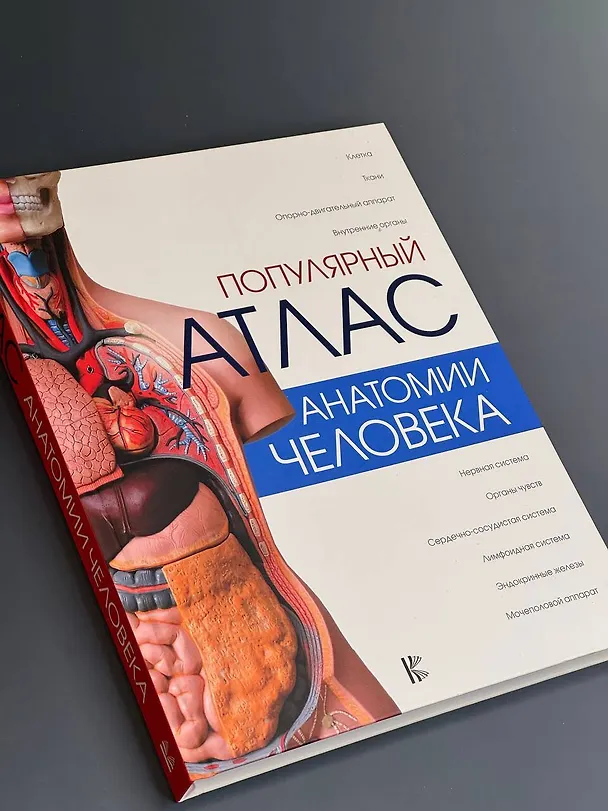 Книга Популярный атлас анатомии человека (Любовь Палычева) — 5