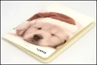 Блокнот "Песик" В шапке (0101190) (Еж Стайл)