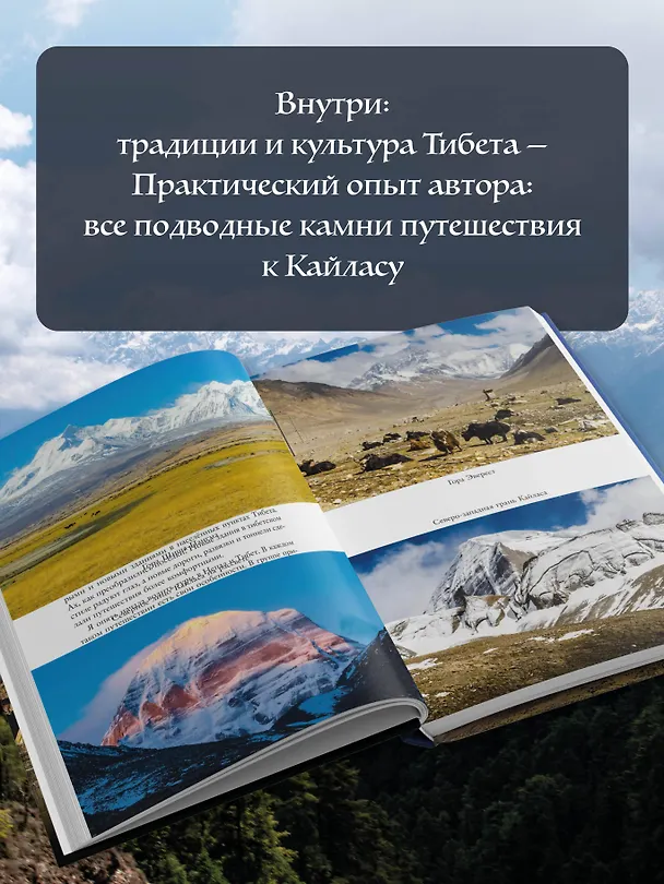 Книга Тибет. Путешествие вокруг священной горы Кайлас (Наталья Масич) — 7