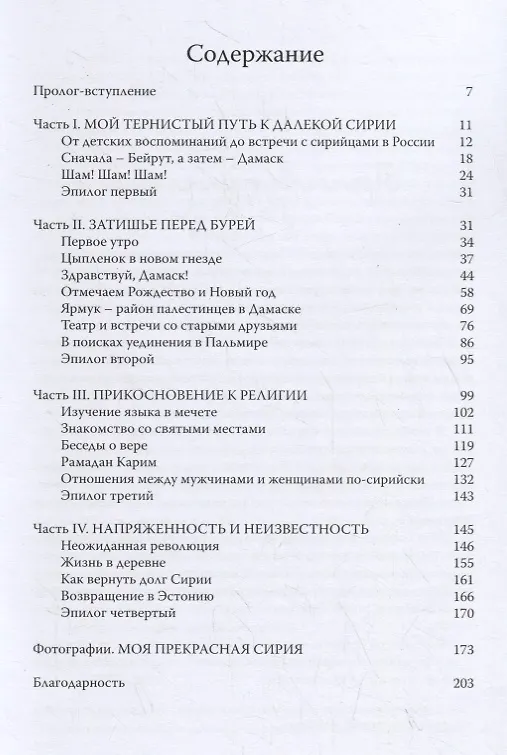 Книга Год в Сирии между миром и войной (Таня Дибоу) — 2