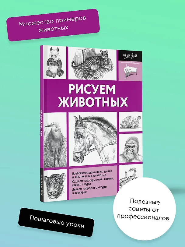 Книга Рисуем животных (Анна Степанова) — 4