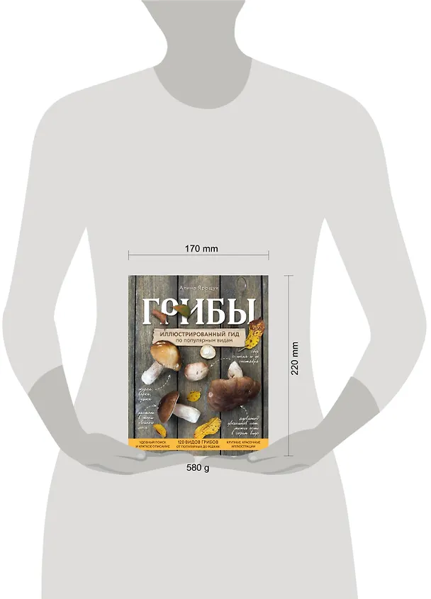 Книга Грибы. Иллюстрированный гид по популярным видам (Алина Ярощук) — 5