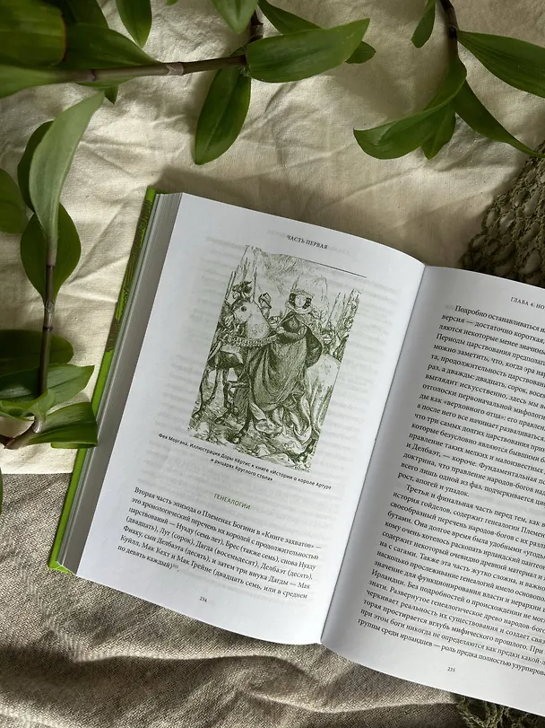 Книга Ирландские мифы. От Племен Богини Дану и Кром Круаха до «кельтских сумерек» и Самайна (Марк Уильямс) — 13