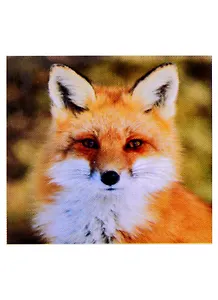 Алмазная мозаика квадрат. 20x20 (класс.) (24 цв.) Милая пушистая лисичка. ( Арт. F2-022)