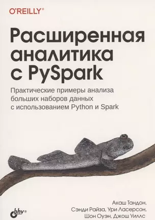 Расширенная аналитика с PySpark — 2972710 — 1