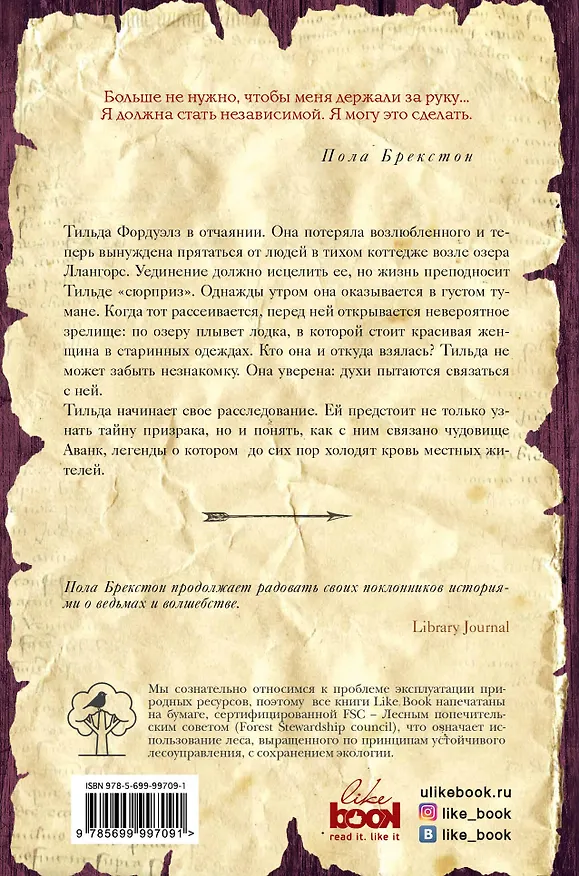 Книга Серебряная ведьма (Пола Брекстон) — 2