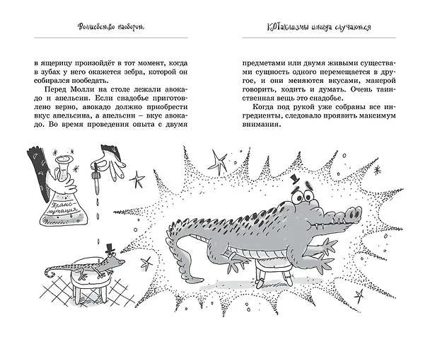 Книга Кот колдуньи Молли. Волшебство наоборот (Поль Бопэр) — 16
