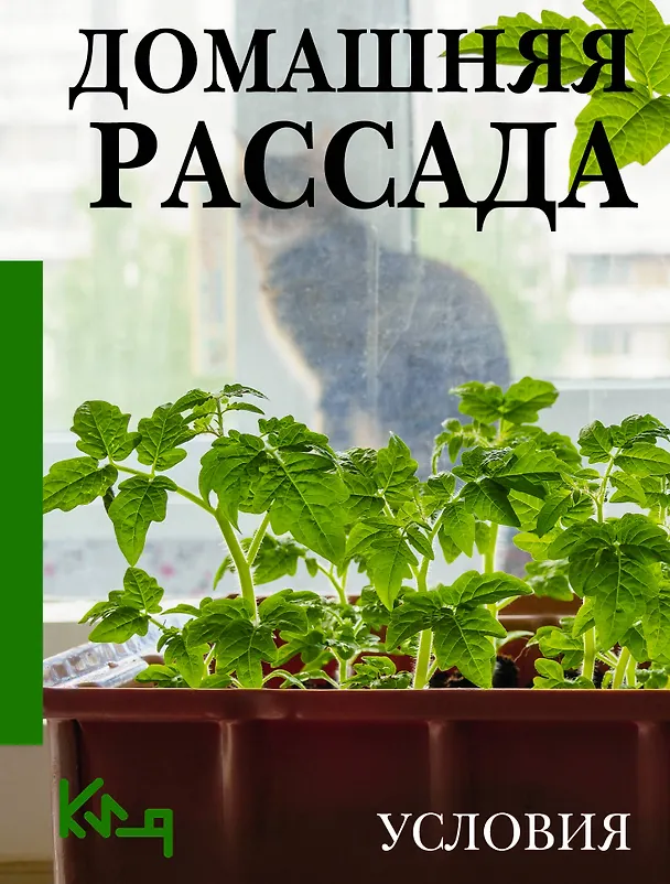 Книга Домашняя рассада. Условия () — 1