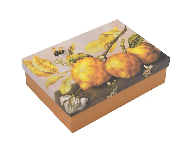 Коробка подарочная "ART. Гарцони Д. Натюрморт с лимонами" 20,5*13,5*6, Schiller 3114002 — 6