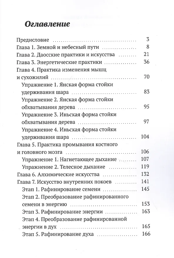 Книга Рассуждения доморощенного даоса. Поиск бессмертия в даосских практиках и искусствах (Юрий Васильев) — 2