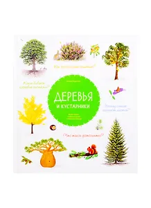 Деревья и кустарники