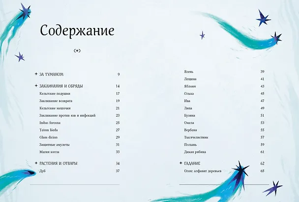 Книга Мифы и легенды кельтов (Джулия Манци) — 10