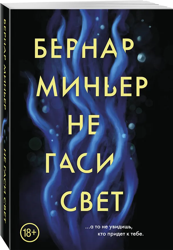 Книга Не гаси свет (Бернар Миньер) — 4