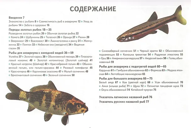 Книга Золотые и другие холодноводные аквариумные рыбки. (цвет) (Ник Флетчер) — 2