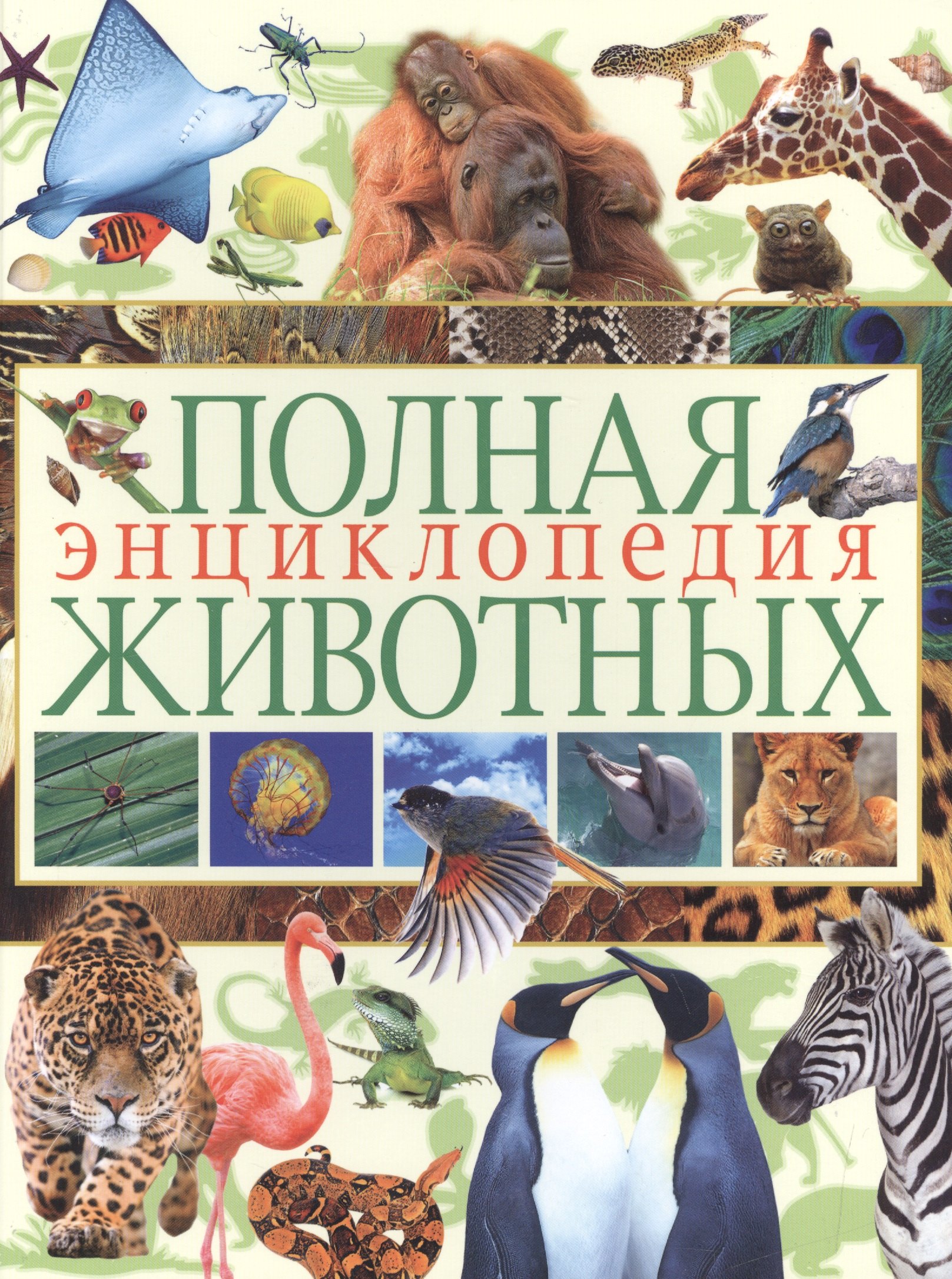 

Полная энциклопедия животных