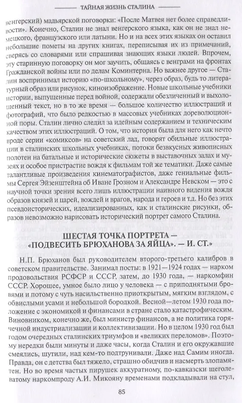 Книга Тайная жизнь Сталина. По материалам его библиотеки и архива. К историософии сталинизма (Борис Илизаров) — 5