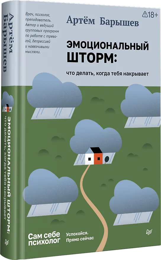 Книга Эмоциональный шторм: что делать, когда тебя накрывает. Успокойся. Прямо сейчас (Артем Барышев) — 2