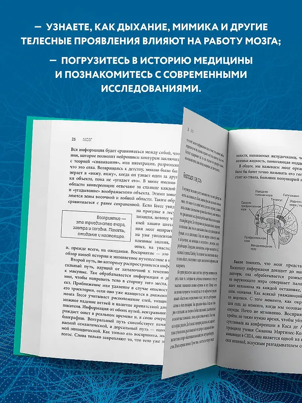 Книга Телесный интеллект. Парадоксальное открытие о том, как тело определяет наши эмоции, поведение и темперамент (Назарет Кастельянос) — 7