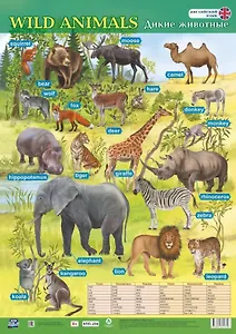 Английский язык. Wild animals/Дикие животные. Учебный плакат (Формат А2)