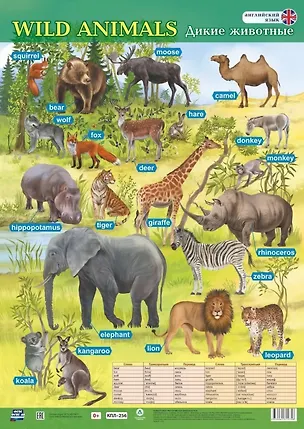 Книга Английский язык. Wild animals/Дикие животные. Учебный плакат (Формат А2) ()