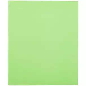 Папка на двух кольцах «Neon», Erich Krause, зелёная, А4 — 239277 — 1