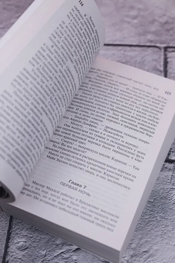 Книга Команда скелетов (Стивен Кинг) — 12