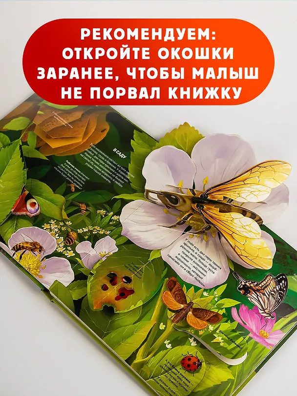 Книга Насекомые () — 8