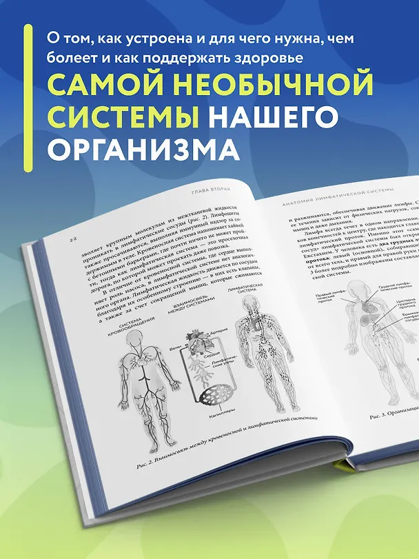 Книга Все о лимфе. Как правильно заботиться о здоровье лимфатической системы и почему это важно (закрашенный обрез) (Владимир Ивашков) — 8