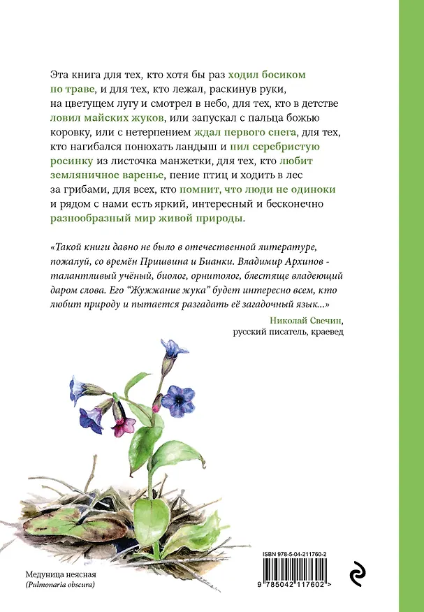 Книга Жужжание жука. Полевые и не очень дневники орнитолога (Владимир Архипов) — 2