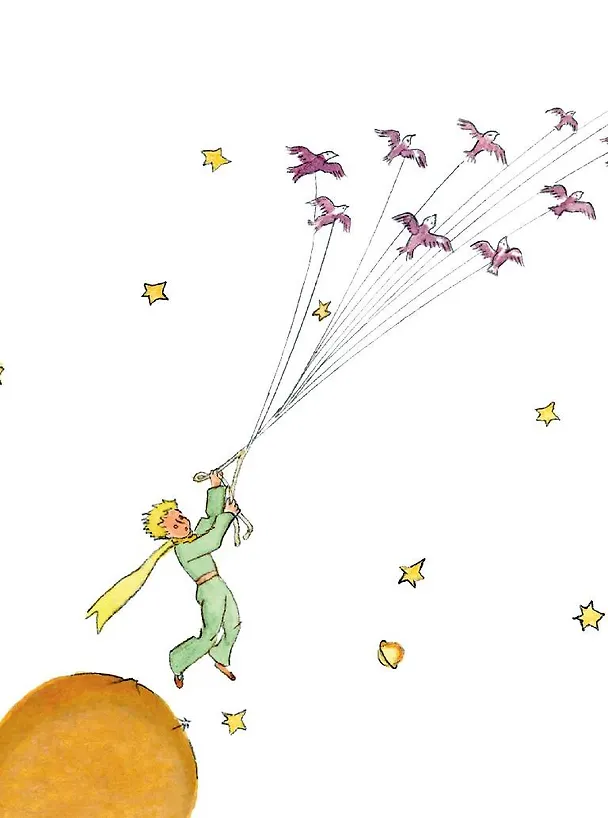 Книга Маленький принц (рис. автора) (Антуан де Сент-Экзюпери) — 8