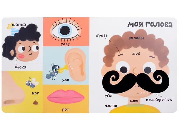 Книга Мои первые 100 слов с большими окошками. Мое тело (Марина Гагарина) — 3