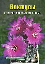 Кактусы и другие суккуленты в доме