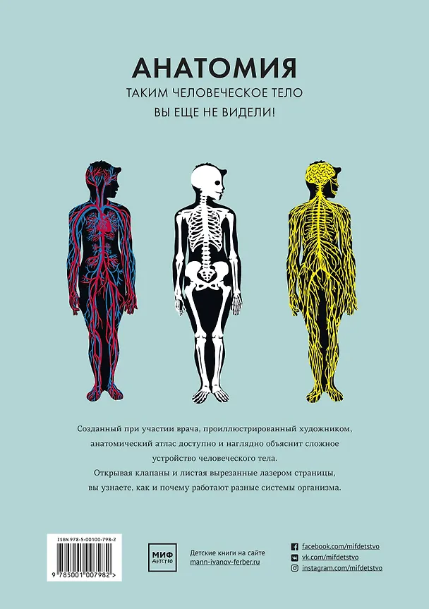 Книга Анатомия (Элен Дрювер) — 2