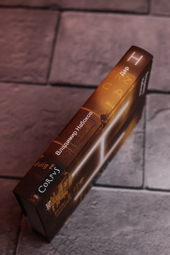 Книга Дар (Владимир Набоков) — 9