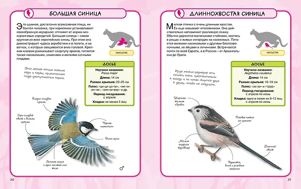 Книга Птицы (Камилла де ла Бедуайер) — 6