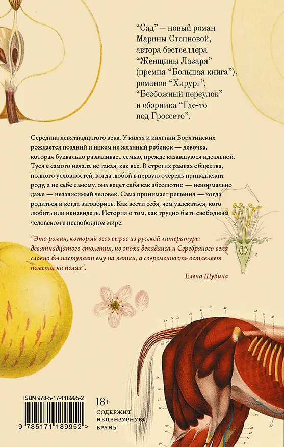 Книга Сад (Марина Степнова) — 2