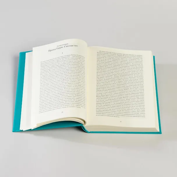 Книга Бесы (Федор Достоевский) — 14