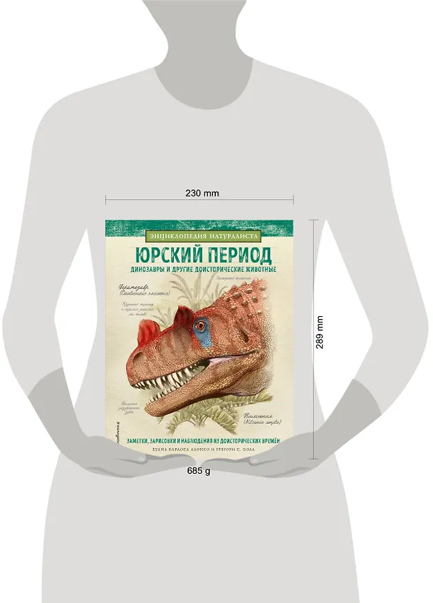 Книга Юрский период. Динозавры и другие доисторические животные (Хуан Алонсо, Грегори Пол) — 10
